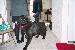 006_20.jpg