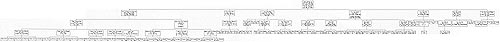 Lee Family Tree starting with my grandfather on my father's side