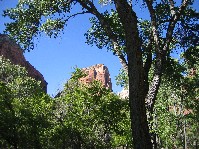 Angel's Landing from the valley floor